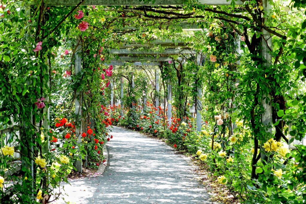 flowers, arches, passage, beautiful flowers, park, gang, flower background, path, sunny, flower wallpaper, nature, park, park, park, park, park, path